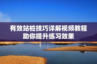 有效站桩技巧详解视频教程助你提升练习效果