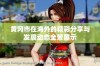 黄冈市在海外的精彩分享与发展动态全景展示