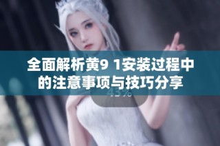 全面解析黄9 1安装过程中的注意事项与技巧分享