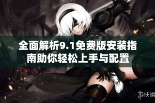 全面解析9.1免费版安装指南助你轻松上手与配置