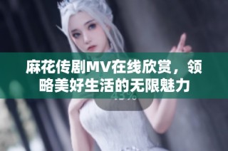 麻花传剧MV在线欣赏，领略美好生活的无限魅力
