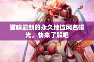 猫咪最新的永久地域网名曝光，快来了解吧