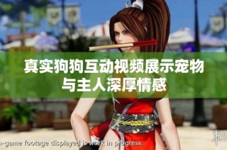真实狗狗互动视频展示宠物与主人深厚情感