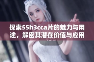 探索55h3cca片的魅力与用途，解密其潜在价值与应用场景