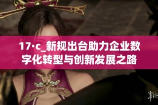 17·c_新规出台助力企业数字化转型与创新发展之路