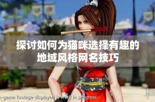 探讨如何为猫咪选择有趣的地域风格网名技巧