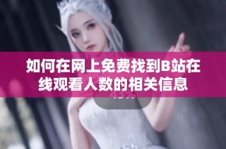 如何在网上免费找到B站在线观看人数的相关信息