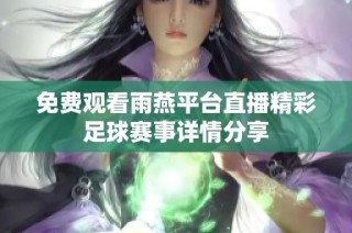 免费观看雨燕平台直播精彩足球赛事详情分享