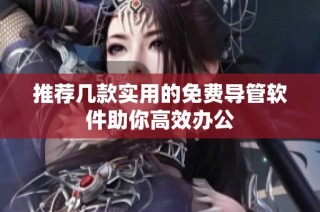 推荐几款实用的免费导管软件助你高效办公