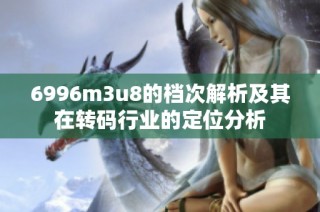 6996m3u8的档次解析及其在转码行业的定位分析