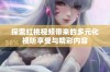 探索红桃视频带来的多元化视听享受与精彩内容