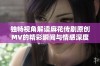 独特视角解读麻花传剧原创MV的精彩瞬间与情感深度