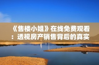 《售楼小姐》在线免费观看：透视房产销售背后的真实故事