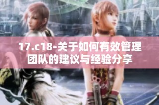 17.c18-关于如何有效管理团队的建议与经验分享