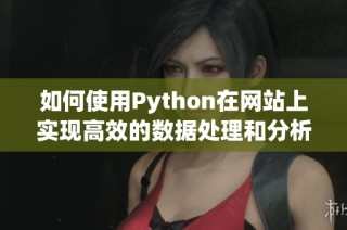 如何使用Python在网站上实现高效的数据处理和分析