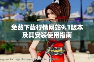 免费下载行情网站9.1版本及其安装使用指南
