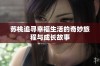 苏桃追寻幸福生活的奇妙旅程与成长故事