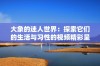 大象的迷人世界：探索它们的生活与习性的视频精彩呈现