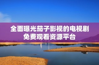 全面曝光茄子影视的电视剧免费观看资源平台