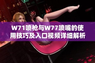 W71喷枪与W77喷嘴的使用技巧及入口视频详细解析