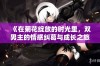 《在菊花绽放的时光里，双男主的情感纠葛与成长之旅》