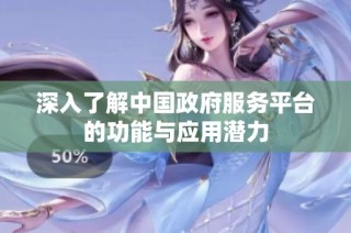 深入了解中国政府服务平台的功能与应用潜力