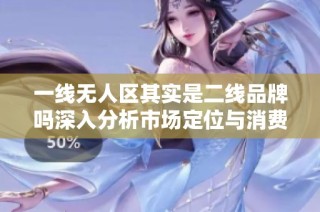 一线无人区其实是二线品牌吗深入分析市场定位与消费者认知