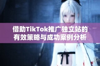 借助TikTok推广独立站的有效策略与成功案例分析