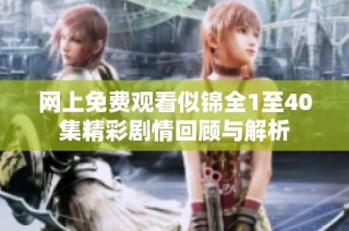 网上免费观看似锦全1至40集精彩剧情回顾与解析