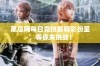 黑瓜网每日竞技赛精彩纷呈，等你来挑战！