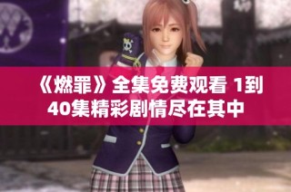 《燃罪》全集免费观看 1到40集精彩剧情尽在其中
