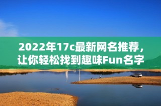 2022年17c最新网名推荐，让你轻松找到趣味Fun名字