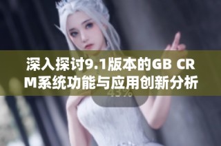 深入探讨9.1版本的GB CRM系统功能与应用创新分析