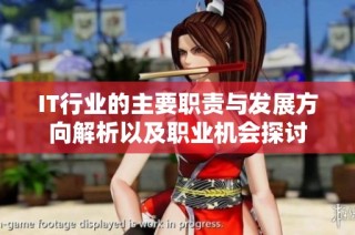 IT行业的主要职责与发展方向解析以及职业机会探讨