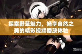 探索野草魅力，畅享自然之美的精彩视频播放体验