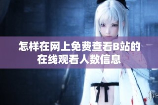 怎样在网上免费查看B站的在线观看人数信息