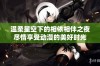 温柔星空下的相依相伴之夜尽情享受动漫的美好时光