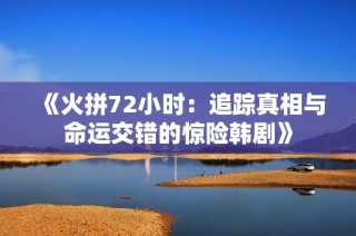 《火拼72小时：追踪真相与命运交错的惊险韩剧》