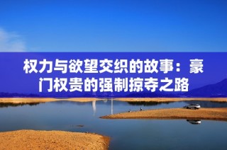权力与欲望交织的故事：豪门权贵的强制掠夺之路
