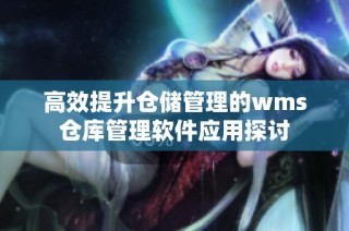 高效提升仓储管理的wms仓库管理软件应用探讨