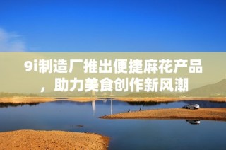 9i制造厂推出便捷麻花产品，助力美食创作新风潮