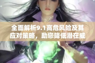 全面解析9.1高危风险及其应对策略，助您降低潜在威胁