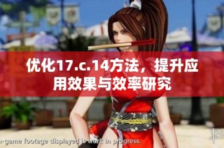 优化17.c.14方法，提升应用效果与效率研究