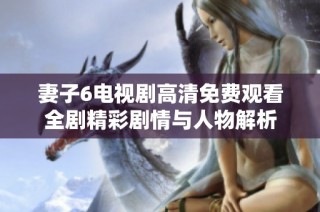 妻子6电视剧高清免费观看全剧精彩剧情与人物解析