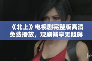 《北上》电视剧完整版高清免费播放，观剧畅享无阻碍