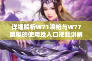 详细解析W71喷枪与W77喷嘴的使用及入口视频讲解