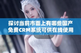 探讨当前市面上有哪些国产免费CRM系统可供在线使用