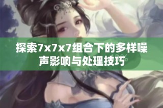 探索7x7x7组合下的多样噪声影响与处理技巧
