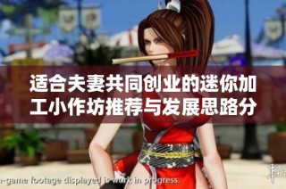 适合夫妻共同创业的迷你加工小作坊推荐与发展思路分享