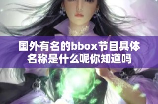 国外有名的bbox节目具体名称是什么呢你知道吗